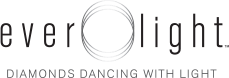 Everlight logo